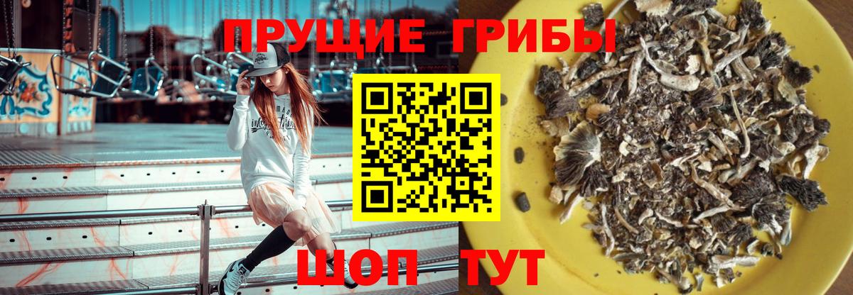 Зеленокумск  даркнет сайт  Вход с VPN  Галлюциногенные грибы прущие грибы  Псилоцибиновые грибы прущие грибы 